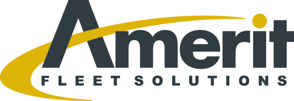 Amerit Fleet Solutions