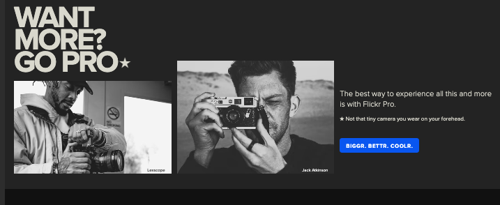 Flickr