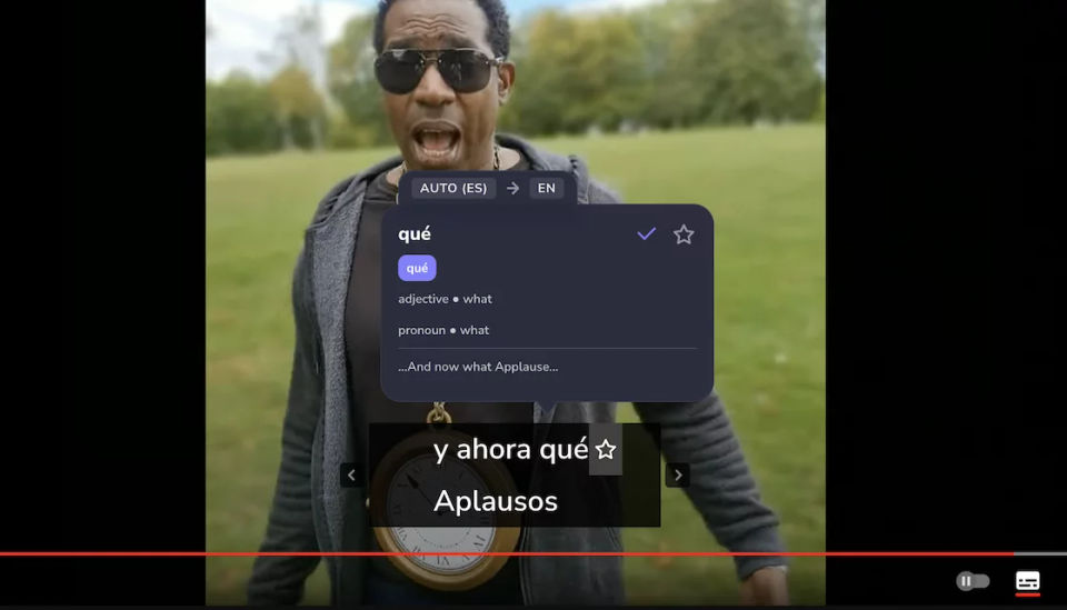 Autodetect Languages