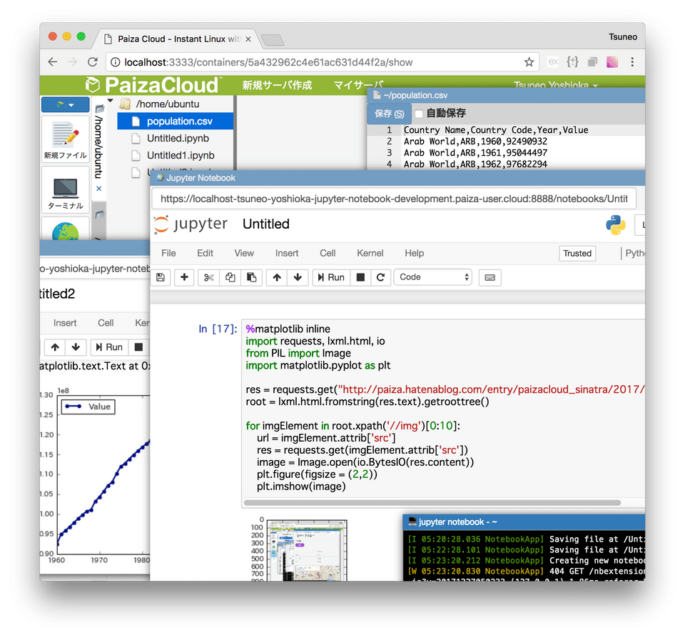 PaizaCloud IDE screenshot