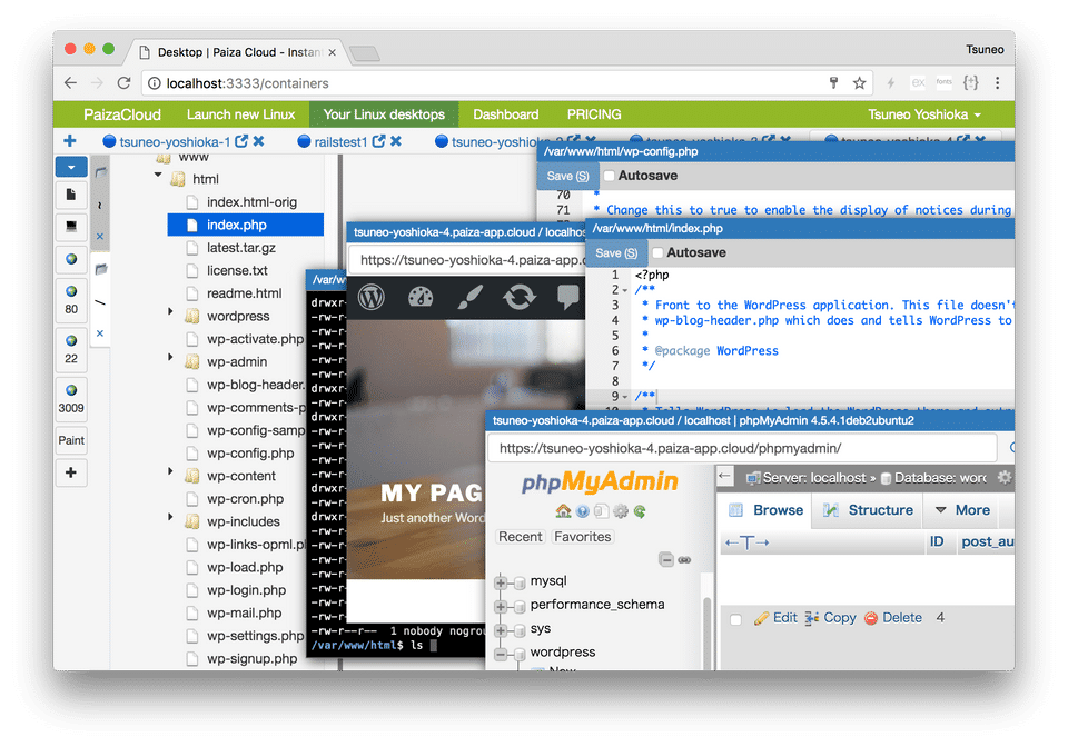 PaizaCloud IDE screenshot